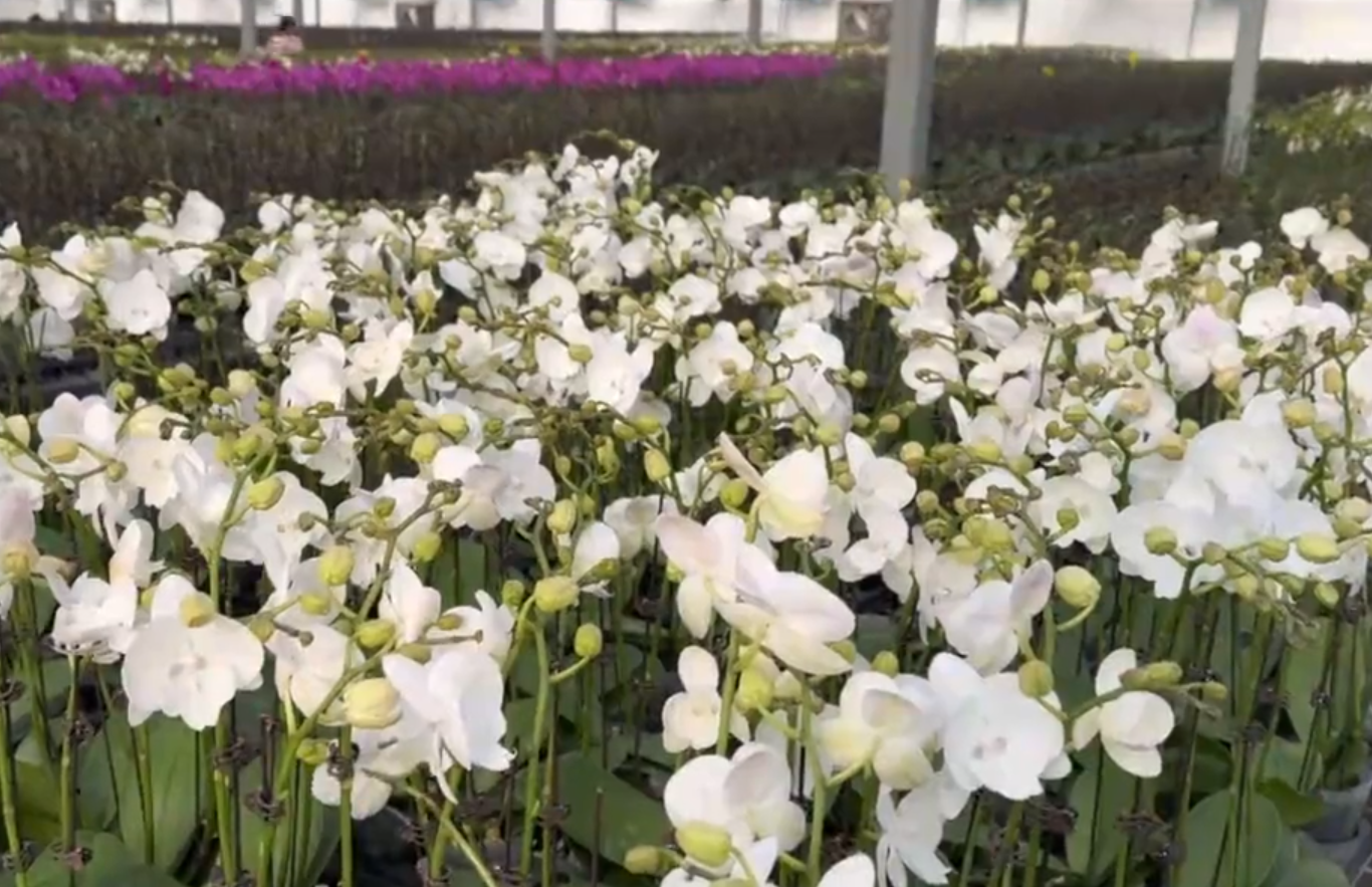 2025年12月2日【新區(qū)新聞】